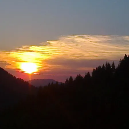 Bambi Zlatar Nova Varoš
