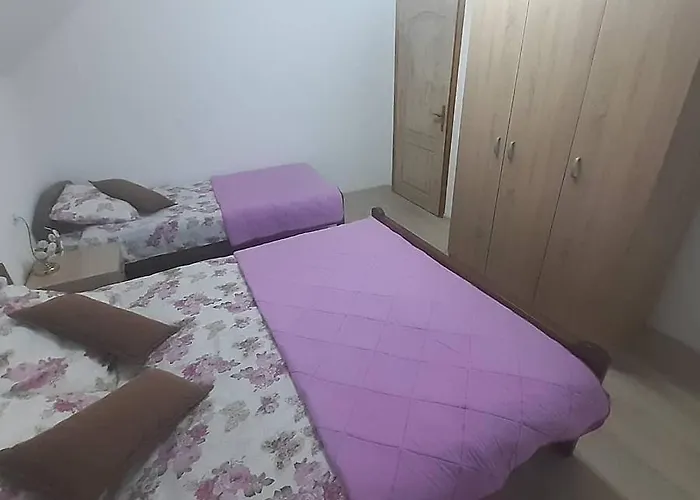 公寓 Bambi Zlatar *