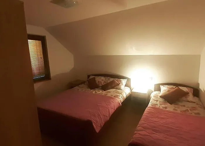 Bambi Zlatar Nova Varoš